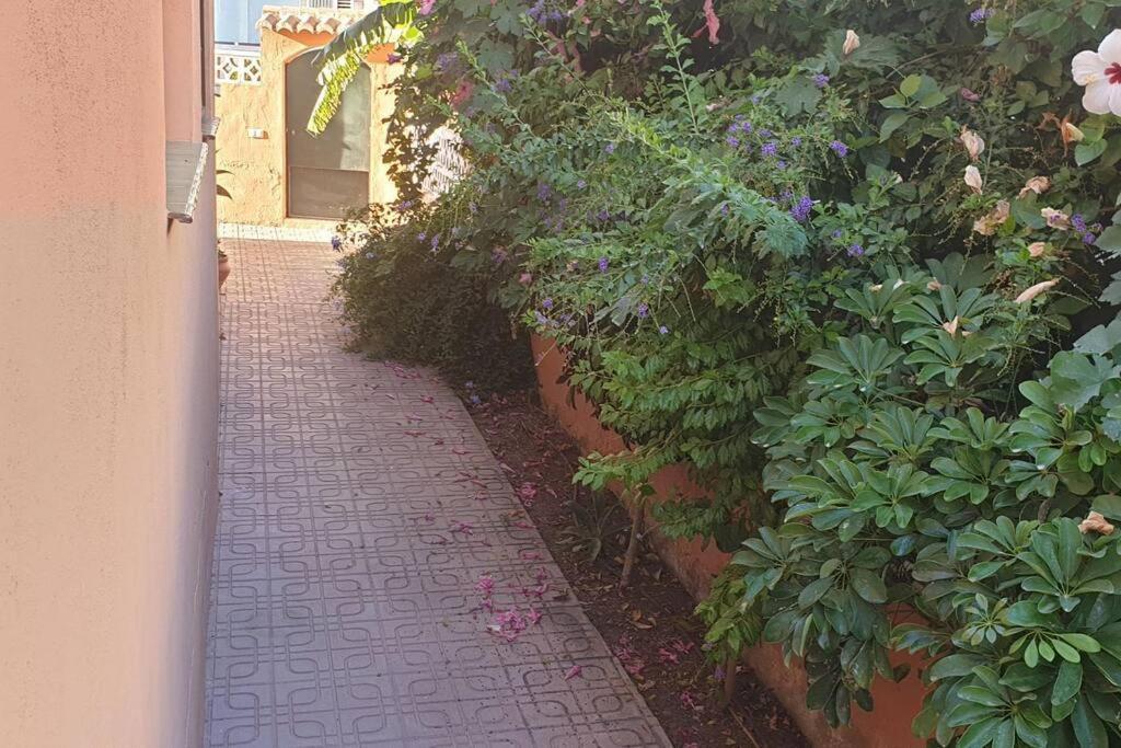 Casa Hurtado De Mendoza Pequena Almuñécar Kültér fotó